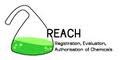 The socio-economic analysis of REACH Regulation