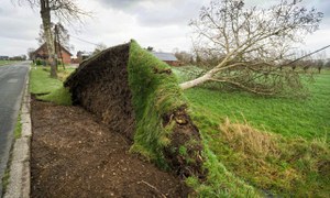 Wind, air, smoke. Social reactions to climate change in fragile rural areas