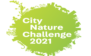 City Nature Challenge