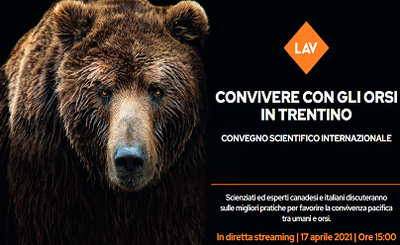 Coexisting with the bears in Trentino