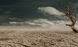 Migrations in the Mediterranean as an effect of climate change and the decline of nature