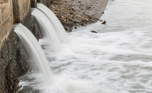 The Copernicus Program Services for Flood Risk Management