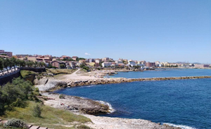 Monitoring potentially toxic Ostreopsis cf. ovata along the italian coasts. Year 2020.