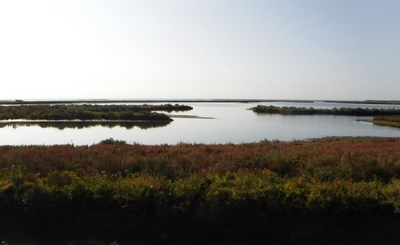 World Wetlands day