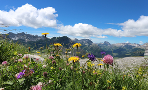 The protection of the environment, biodiversity and ecosystem included in the Italian Costitution