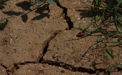 Drought and water resources: in the last 30 years (1991-2020) water availability reduced by 19% compared to the thirty years 1921-1950