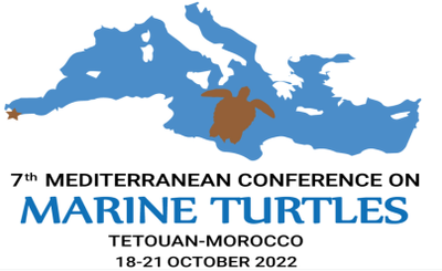 ISPRA is participating in the VII European Conference on sea turtles with a photographic exhibition and comics of the INDICIT Project