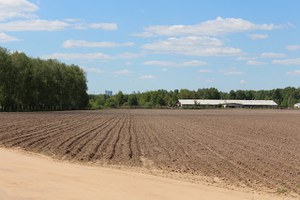 Published the text for a Directive on Soil Monitoring and Resilience