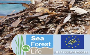 Beached Posidonia, sustainable methods for active management