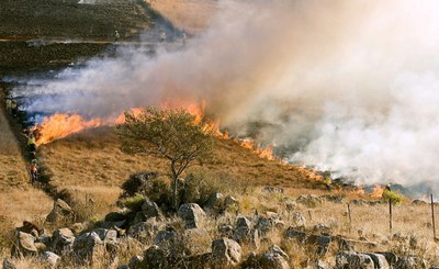 Forest fires: from January to July 2024 in line with the average since 2006. More serious episodes in Sicilia and Sardegna, forest cover is saved in Vieste