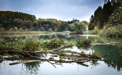 Summer school on Environmental Impact Assessment 2024: Biodiversity and Water