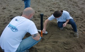 Which beaches Caretta Caretta choose for nesting? ISPRA sampling campaigns are in progress