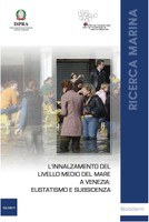 Mean sea level rise in Venice: eustatism and subsidence