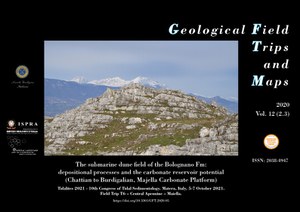 The submarine dune field of the Bolognano Fm: depositional processes and the carbonate reservoir potential (Chattian to Burdigalian, Majella Carbonate Platform)