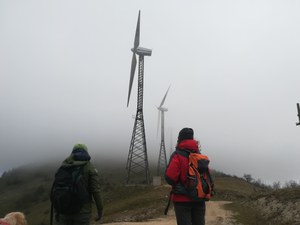 Monitoraggio lupo irpinia aragno canestrini.jpg