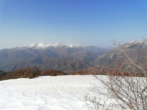 Monitoraggio lupo monte nuria copertina.jpg