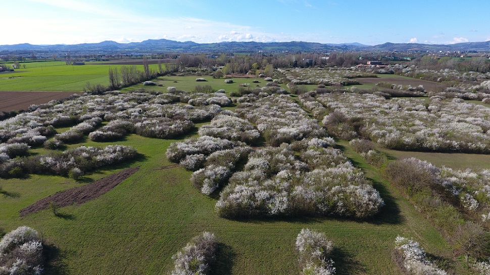 drone fondo ispra.JPG