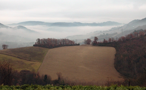 Foto A. De Marinis