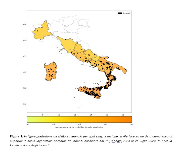 figura1-incendi-luglio2024.jpg