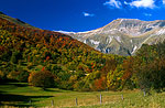 autunno sotto il vettore