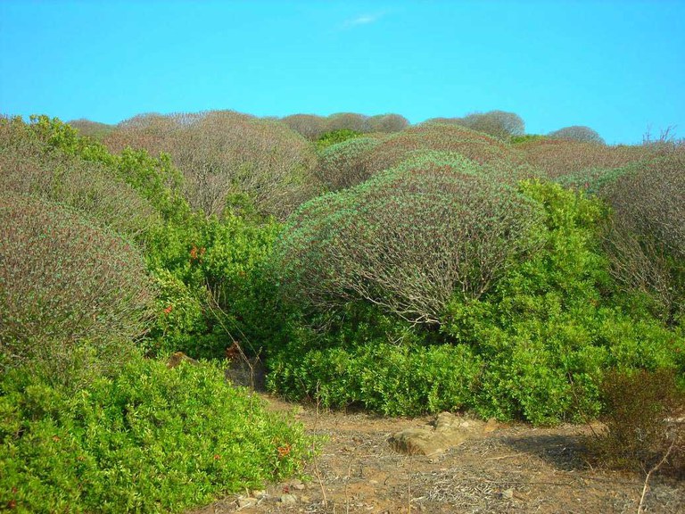 6 asinara.jpg