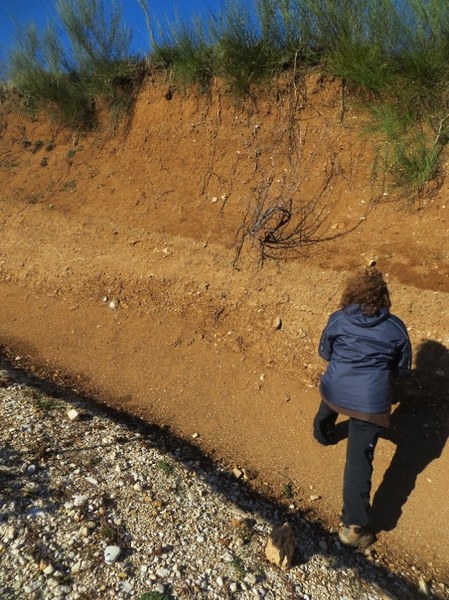 Conca intermontana di Leonessa (RI): affioramenti del sintema di Leonessa e dei conglomerati di Cumulata