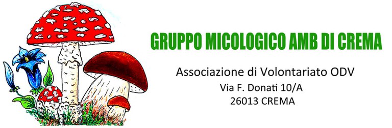 logo Gruppo micologico AMB di Crema.jpeg