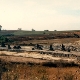 Foresta fossile di Dunarobba (foto Angelelli F., 1987)