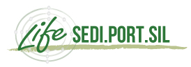 logo sediportsil.jpg