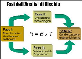 Schema delle fasi dell'analisi del rischio