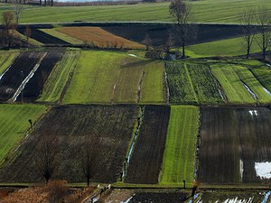 Seminario ISPRA-CATAP: "Dall’Ingegneria naturalistica alle Infrastrutture verdi: un capitolo rilevante nella sfida del Green New Deal"