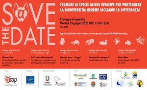 Fermare le specie aliene invasive per proteggere la biodiversità: insieme facciamo la differenza!