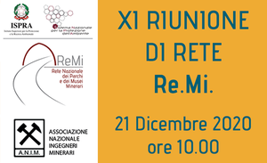 XI Riunione di Rete ReMi