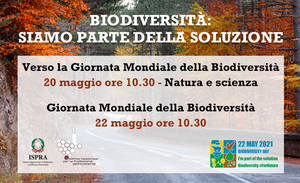 Biodiversità: siamo parte della soluzione