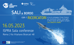 SALI A BORDO CON I RICERCATORI  -  Al via la campagna Citizen Science per monitorare cetacei, tartarughe e rifiuti marini del Progetto Europeo Life CONCEPTU MARIS