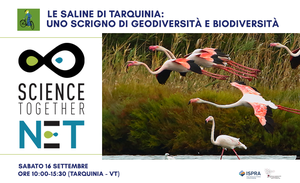 Le Saline di Tarquinia: uno scrigno di geodiversità e biodiversità