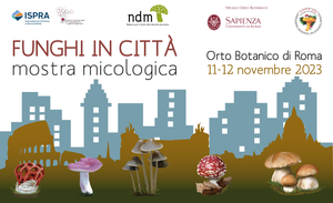 Funghi in città. Mostra micologica