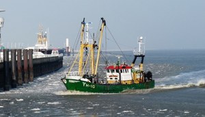 Delegazione di pescatori e ricercatori ISPRA di Chioggia in Olanda