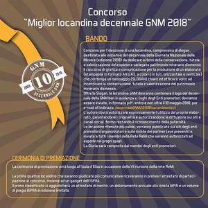 Concorso “Miglior locandina ufficiale del decennale GNM 2018”