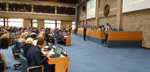 Prima riunione dell'Open-Ended Working Group per lo sviluppo del quadro globale sulla biodiversità post 2020 nell'ambito della Convenzione ONU per la conservazione della biodiversità