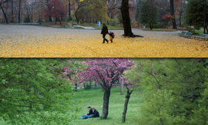 Mostra fotografica “Il verde in città per un futuro più sostenibile e resiliente”