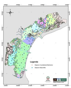ISPRA e ARPAV, 10 anni di collaborazione nel Monitoraggio Ecologico della Laguna di Venezia