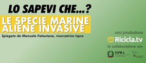 Lo sapevi che... Le specie marine aliene invasive