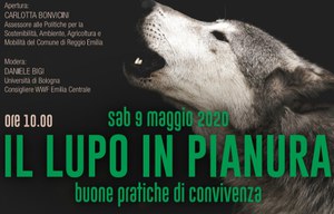 Il lupo in pianura. Buone pratiche di convivenza