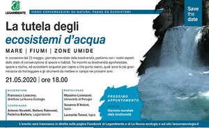 La tutela degli ecosistemi d'acqua. Mare, fiumi, zone umide