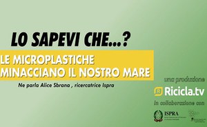 Lo sapevi che...? Le microplastiche minacciano il nostro mare?