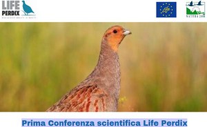 Prima Conferenza scientifica Life Perdix