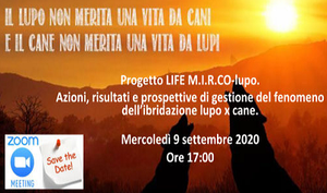 Webinar risultati finali del progetto LIFE M.I.R.Co-lupo