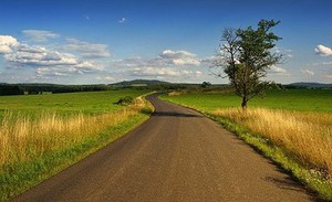 Presentazione rapporto IPBES interconnessioni biodiversità e pandemie