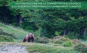 Pubblicazione RETICULA n. 25/2020 – Numero Monografico